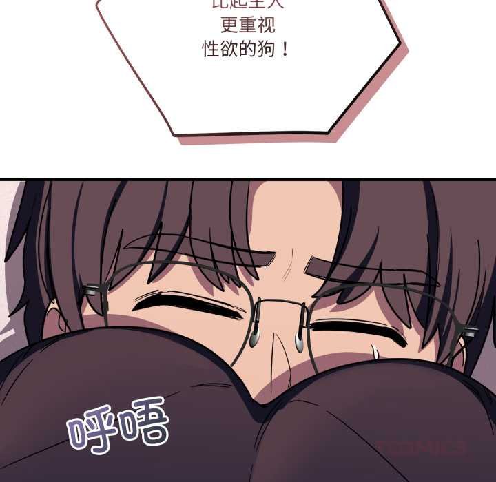 当狗不丢人第36話