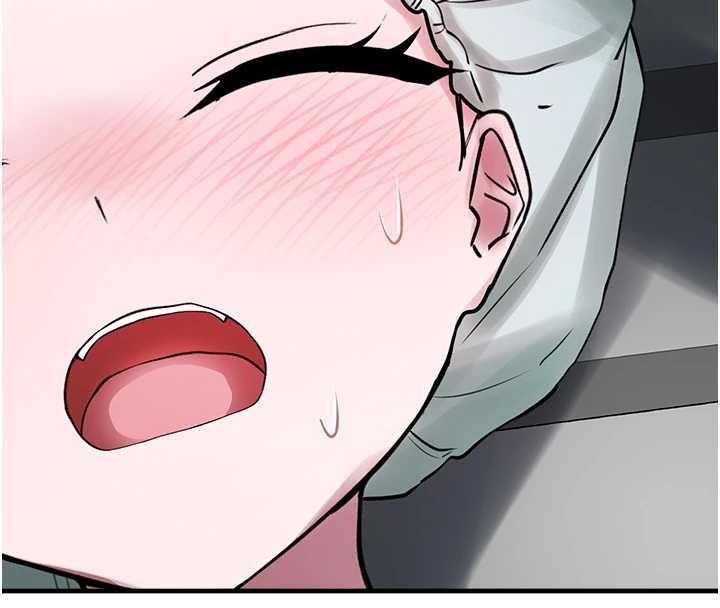 垃圾堆捡到宠物系萌妹最終話-相伴一生的承諾