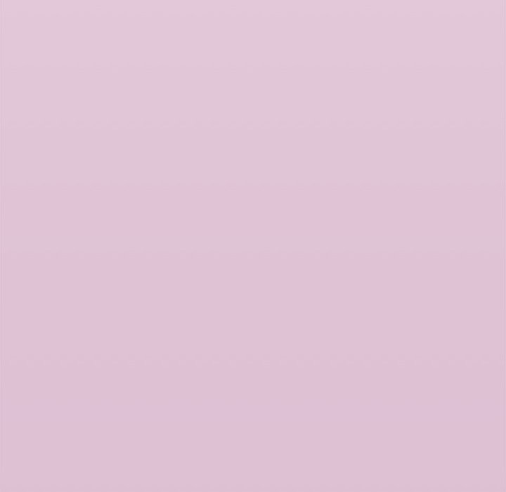 公主殿下要收种子啦！第16話