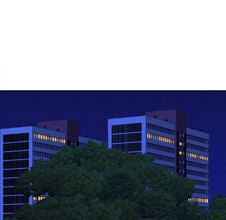 贵妇的专属保镳第10话