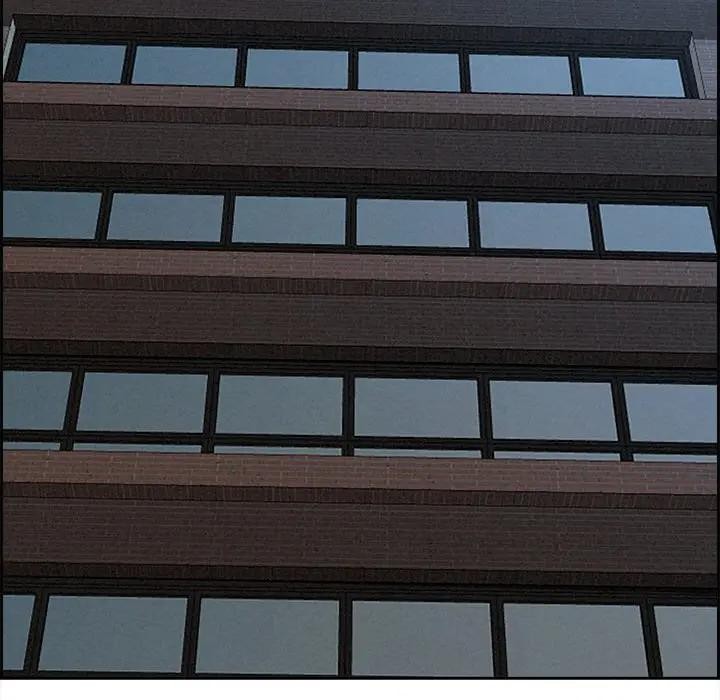 贵妇的专属保镳第15话