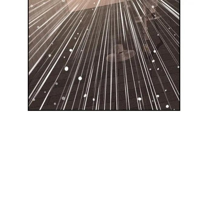 贵妇的专属保镳第17话