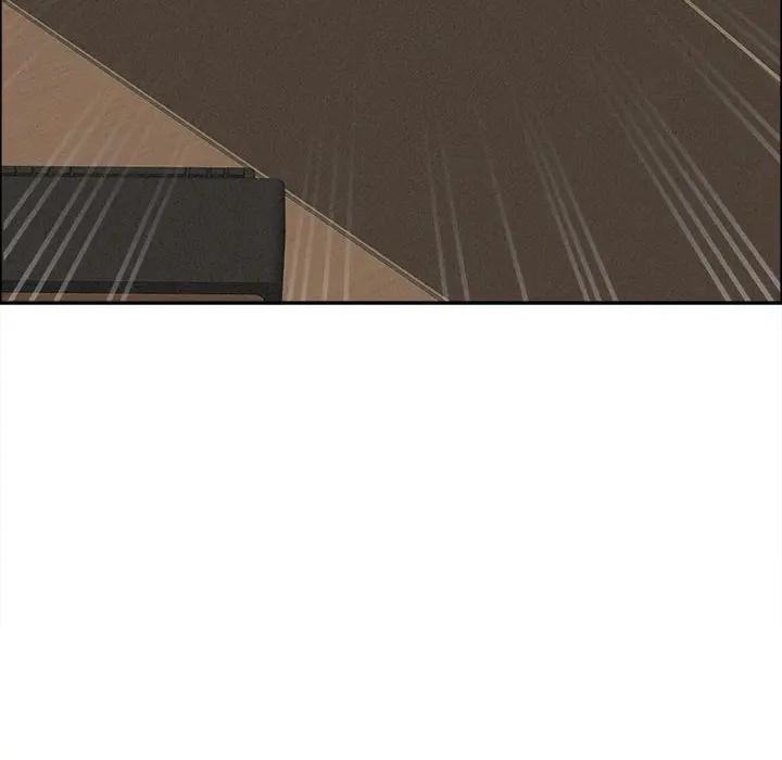 贵妇的专属保镳第42话