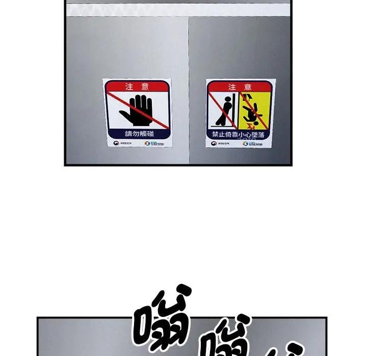 贵妇的专属保镳第43话