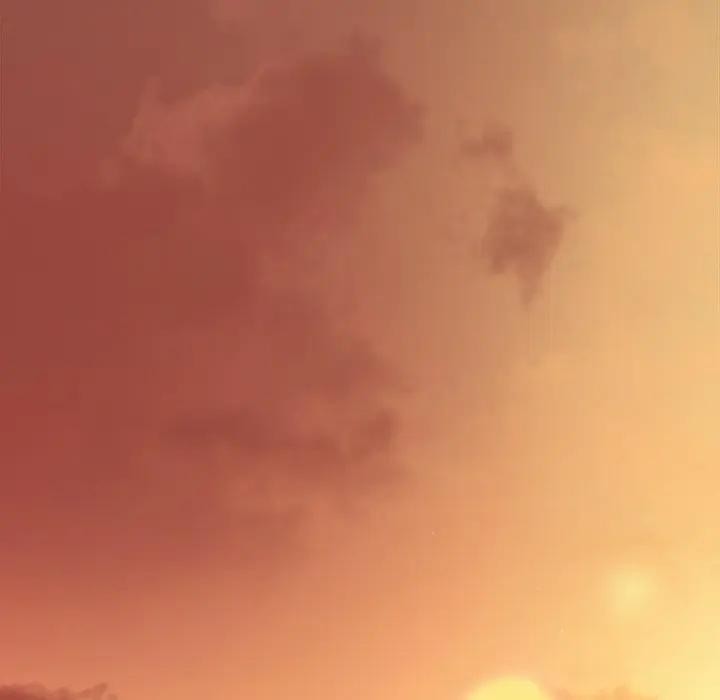 神圣陷阱第36話