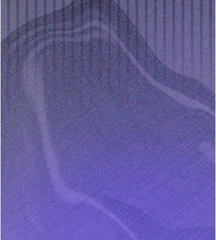 义父第12話-掏空計畫開始