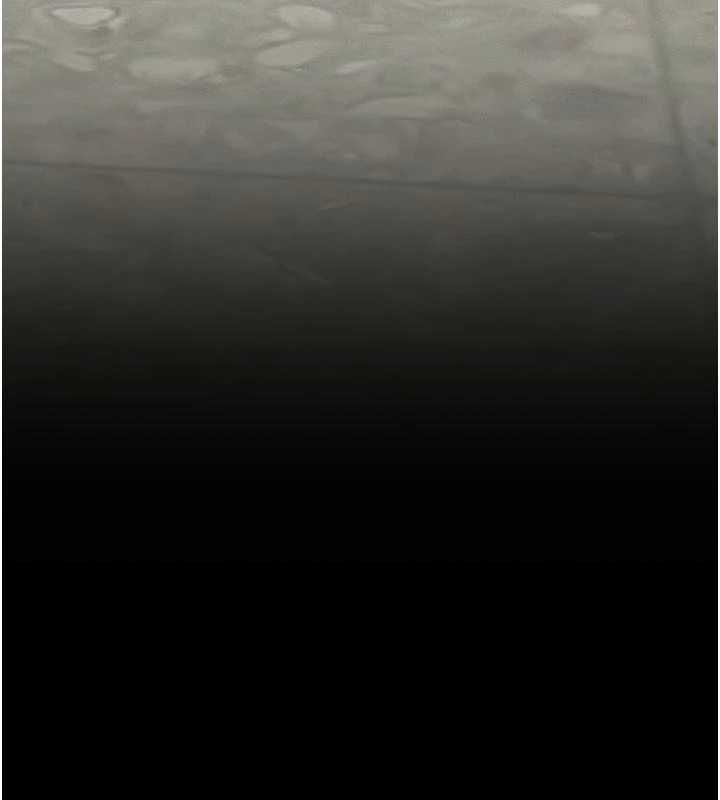 墮落物語2第55話-「委曲求全」的人妻