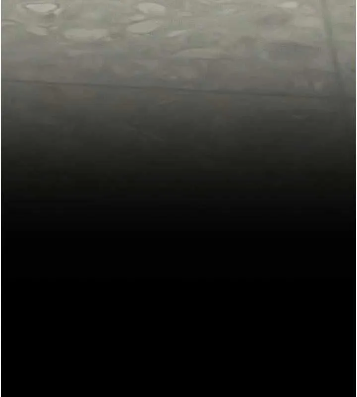 墮落物語2第55話-「委曲求全」的人妻