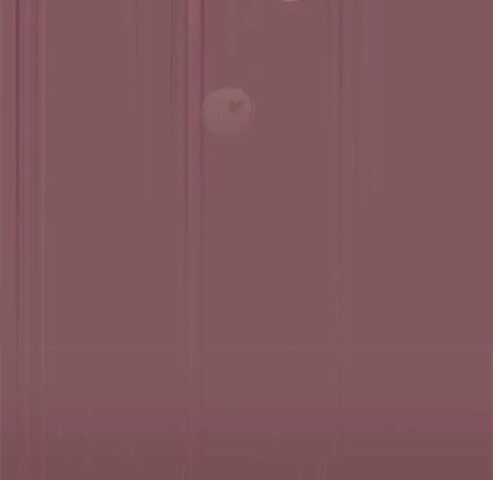與眾不同的兄妹第46話